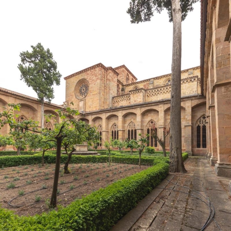 20190522_Siguenza_Claustro (11)